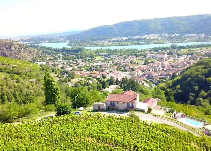 Les Vignes Ardechoises - Peuplier