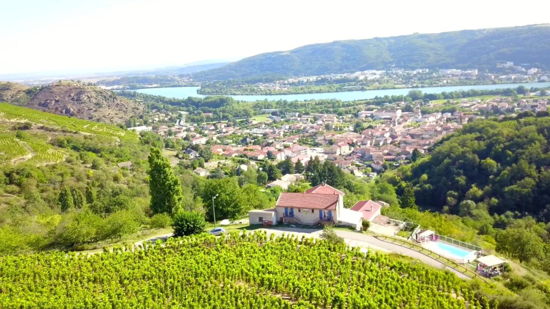 Les Vignes Ardechoises - Peuplier Sarras