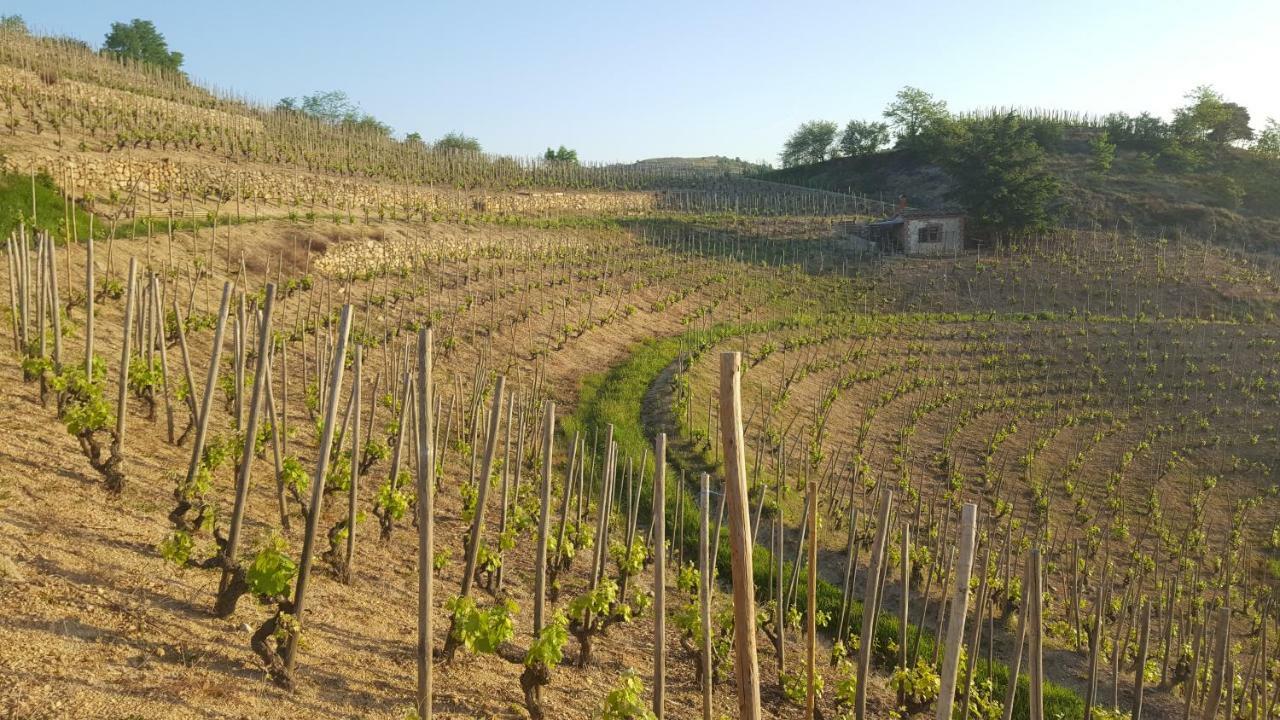 Ferienhaus Les Vignes Ardechoises - Peuplier *