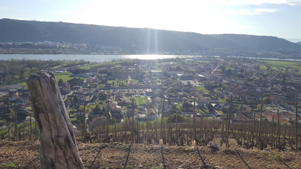 Holiday home Les Vignes Ardechoises - Peuplier