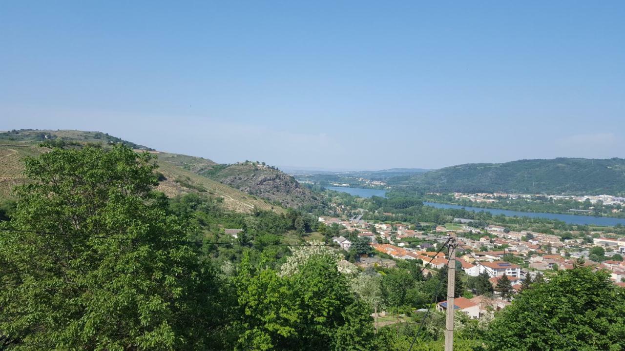 Holiday home Les Vignes Ardechoises - Peuplier
