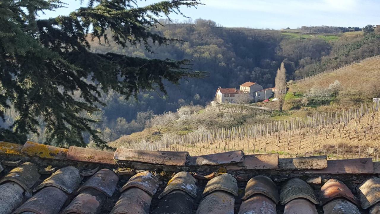 Les Vignes Ardechoises - Peuplier Sarras